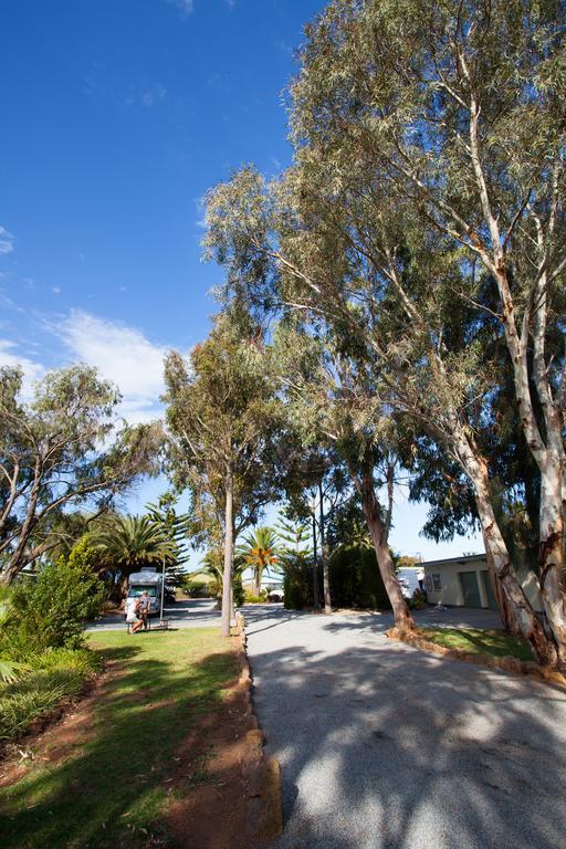 モドラズ アパートメンツ タンビー ベイ Tumby Bay エクステリア 写真